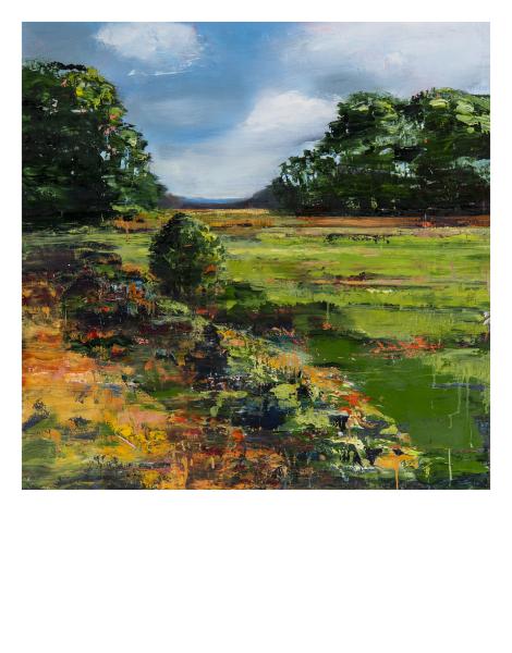 Paysages - 19