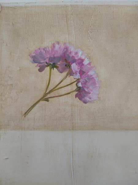 Fleurs - 14