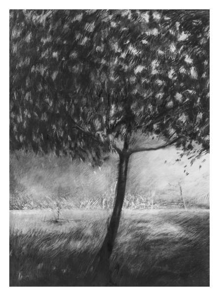 Paysages - 22