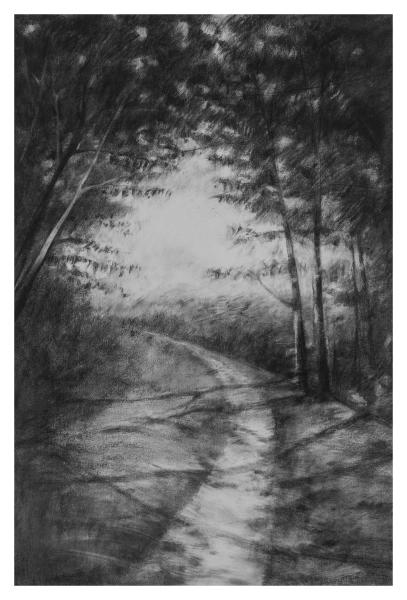 Paysages - 20
