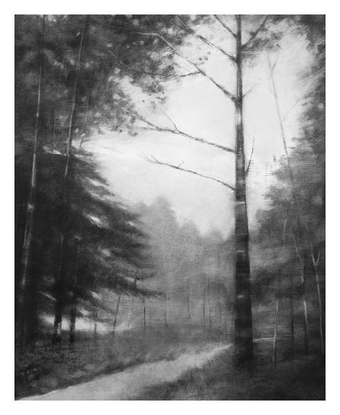 Paysages - 16