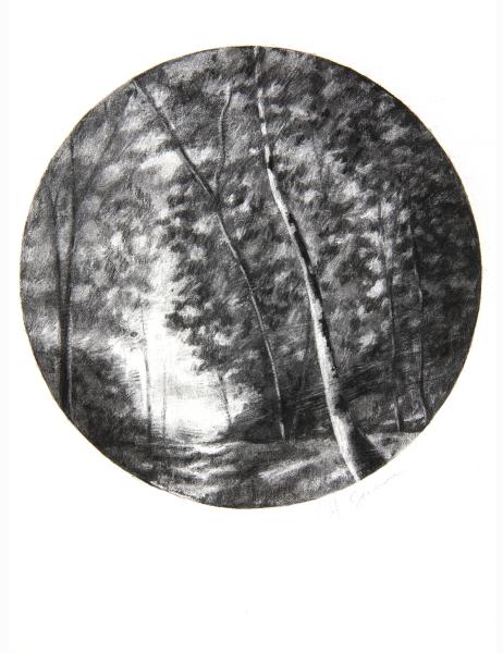 Paysages - 18