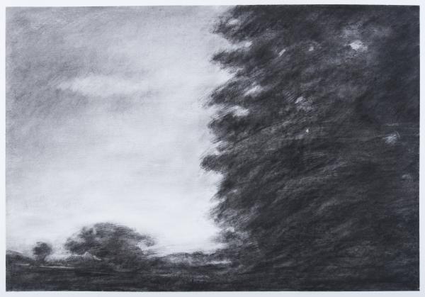 Paysages - 25