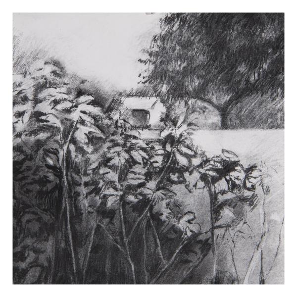 Cabanes - 38