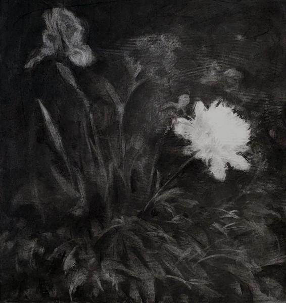 Fleurs - 1