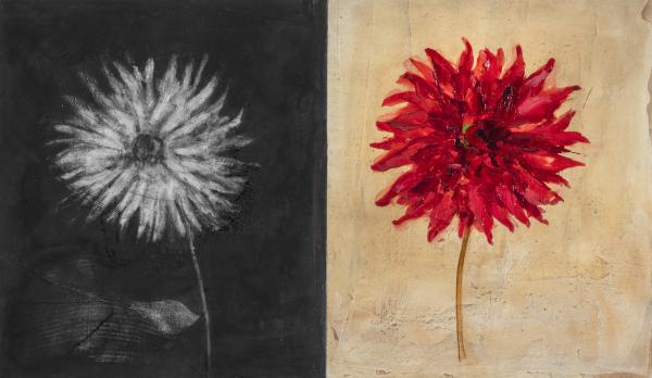 Fleurs - 11