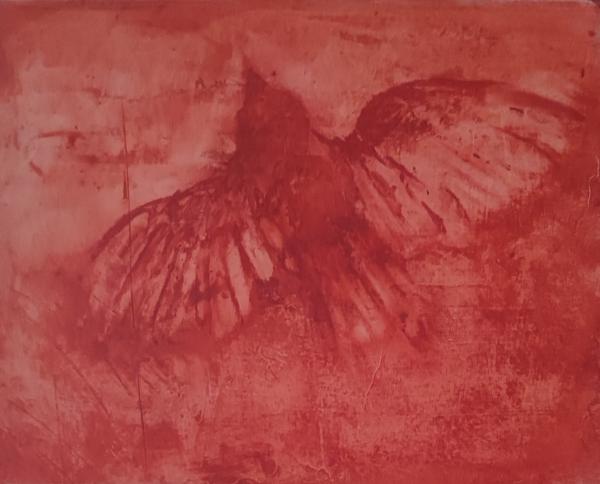Ciels - 16