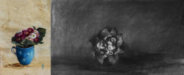 Fleurs - 9