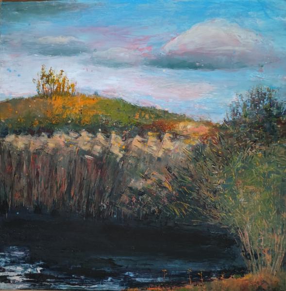 Paysages - 9