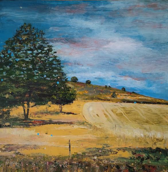 Paysages - 11
